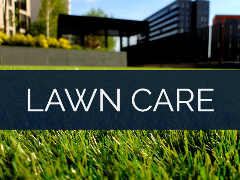 ECHELON LOCAL - ATLANTA GA | INTERNET MARKETING SERVICE | GROW YOUR BUSINESS | Lawn Care - Industry